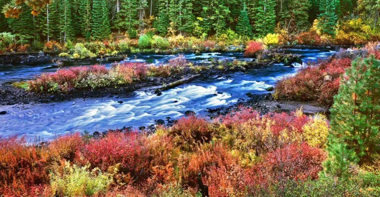 Seventh Mountain Resort Deschutes River Woods 外观 照片